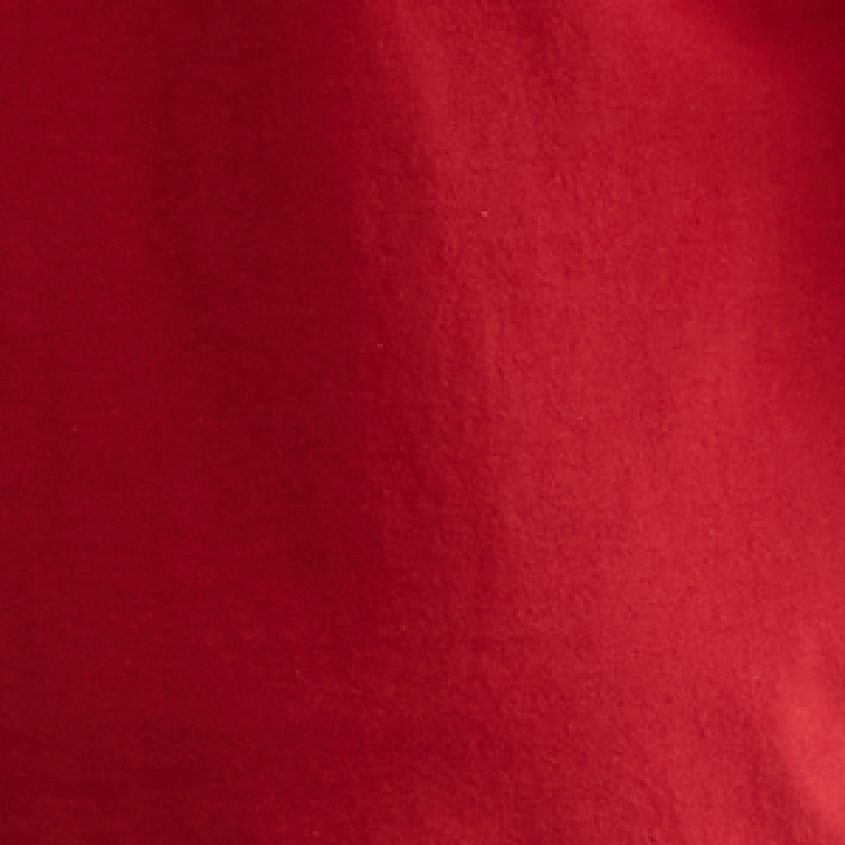 Canvas Red