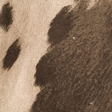 Cow Print