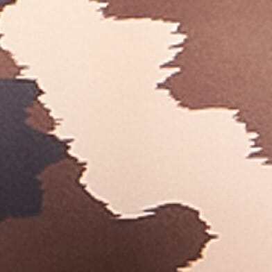 Longhorn Cow Print Stretch Boy Short thumbnail 4