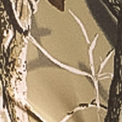 Real Tree Camo Extra Grey Stretch Boy Short thumbnail 4