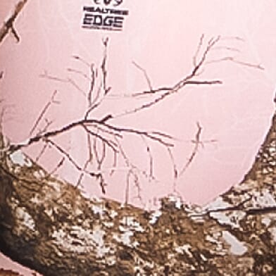 Realtree Edge Camo Stretch Boy Short thumbnail 4