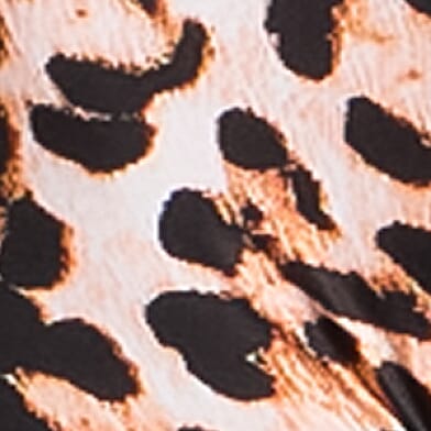 Leopard Print Bliss Stretch Sports Bra thumbnail 4