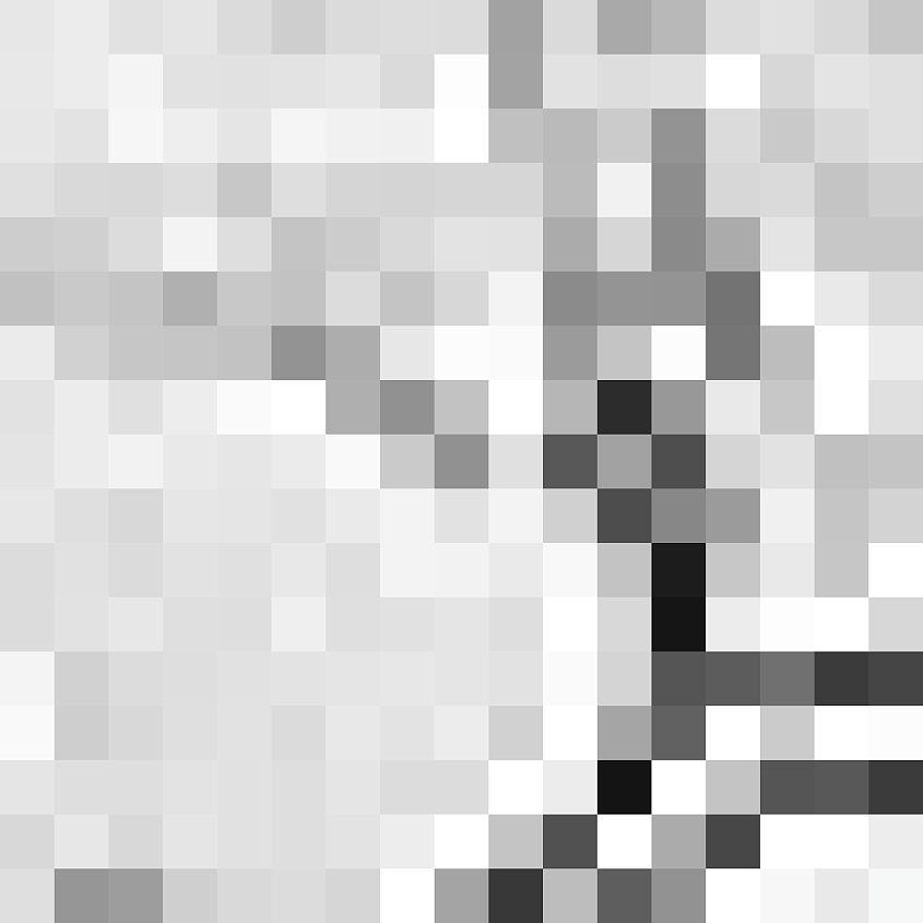 White White