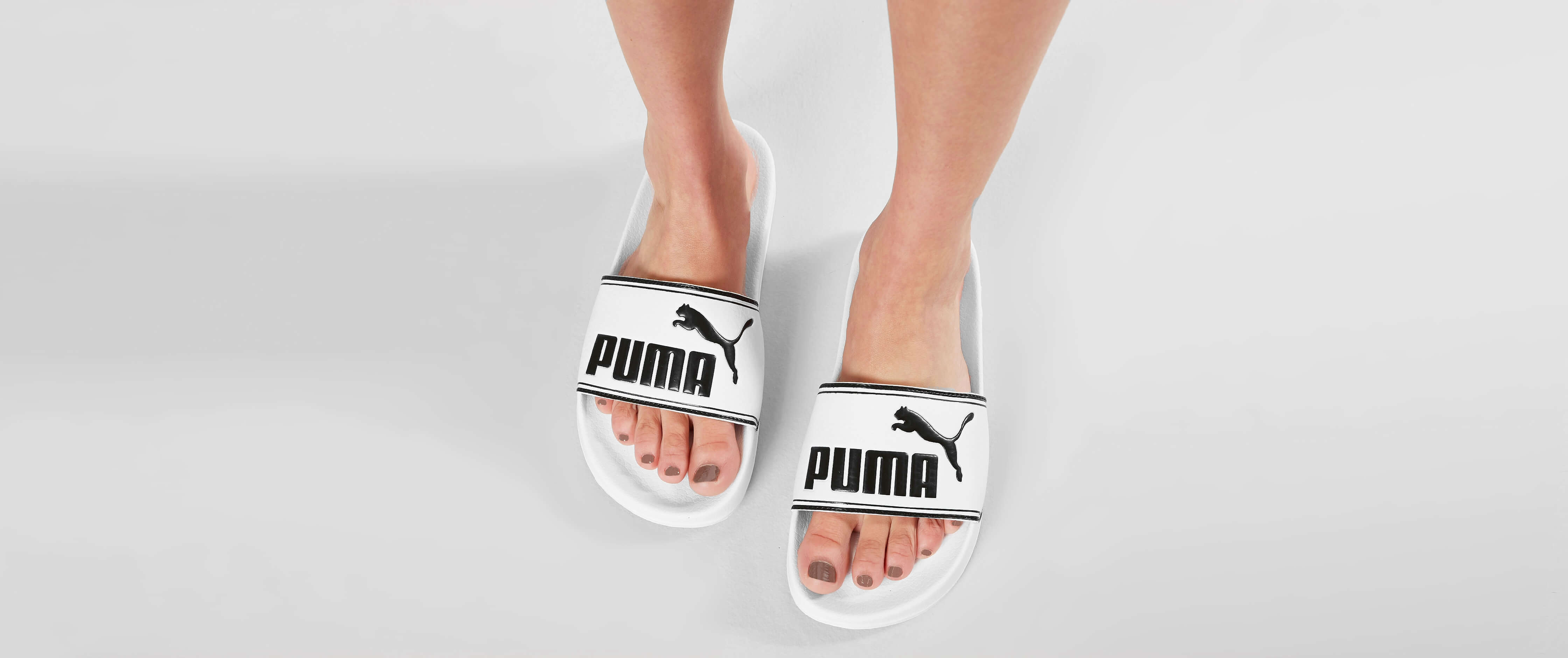 female puma slides