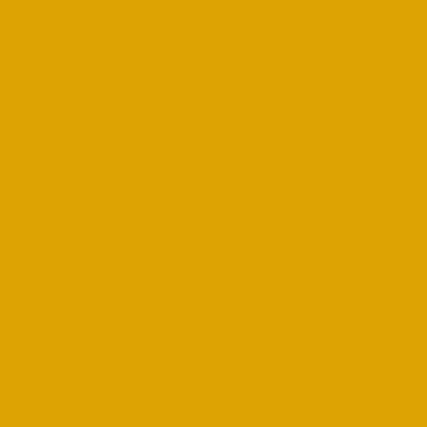 Shiny Yellow Tortoise