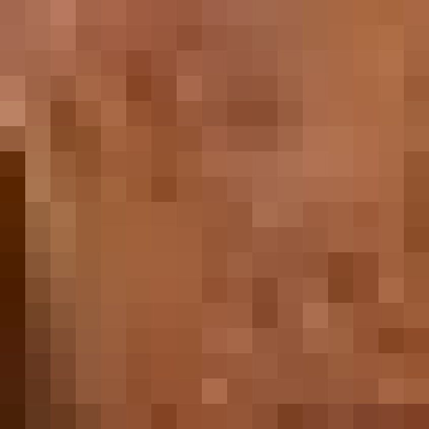 Tan
