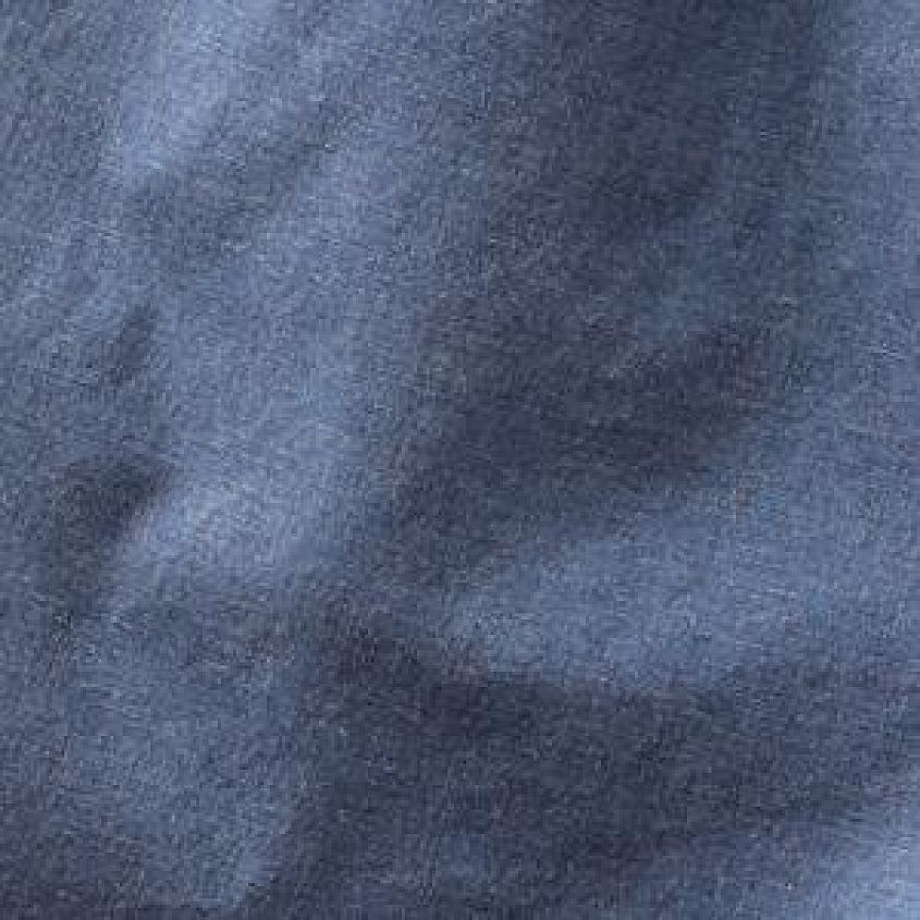 Insignia Blue