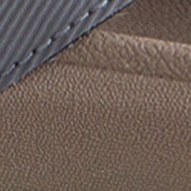 Fossil Grey