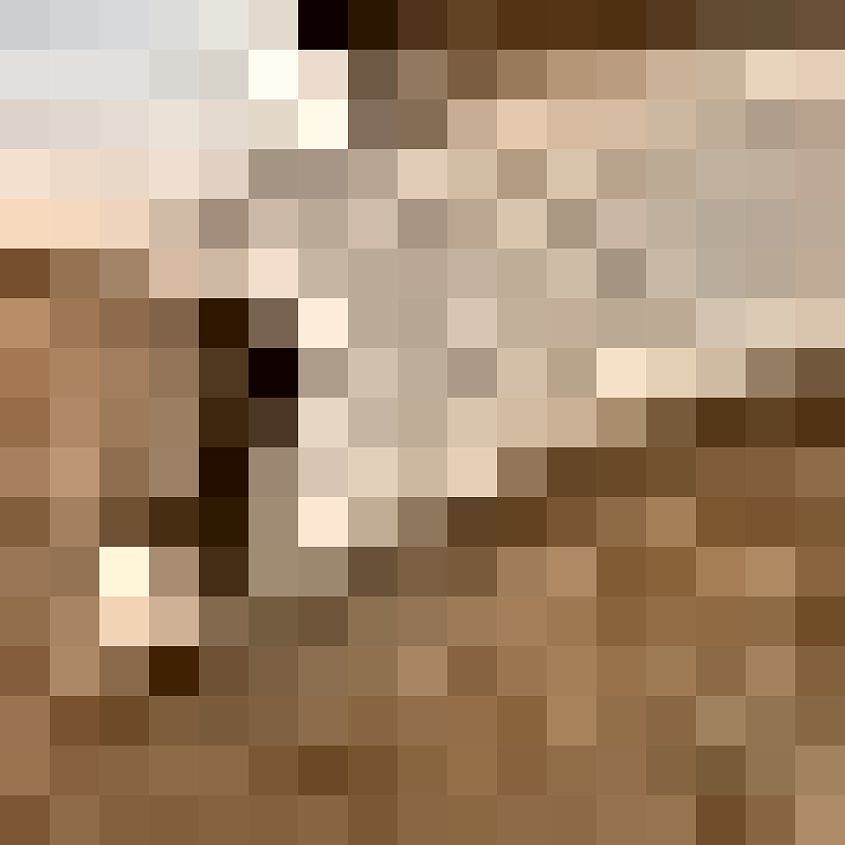 Cream