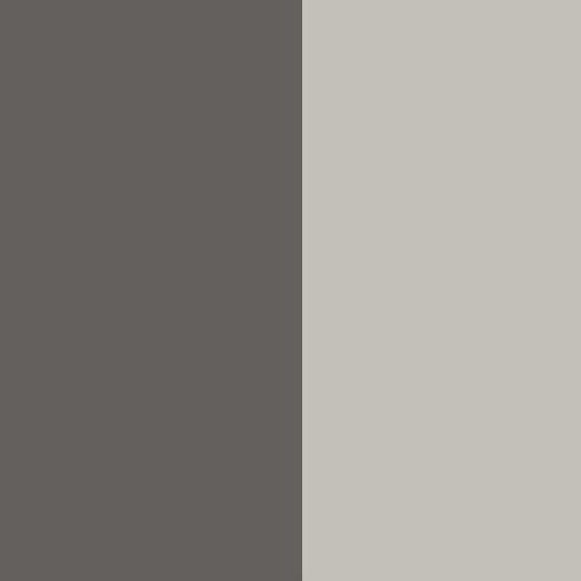Grey Silver