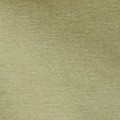 Light Olive