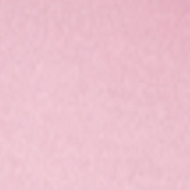 Bubble Gum