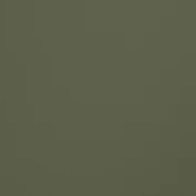 Matte Olive