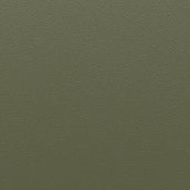 Matte Olive