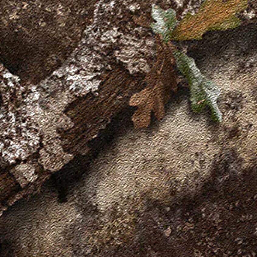 Camo