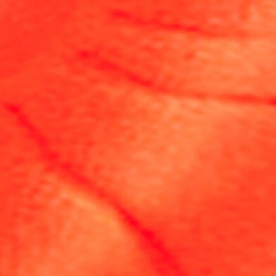 Bright Orange