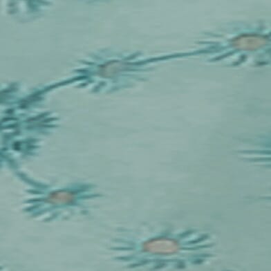 Mineral Blue