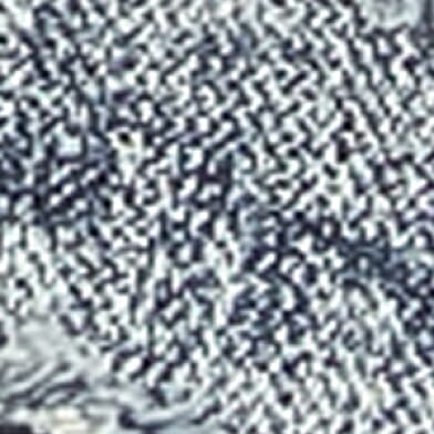 Roseia MH200