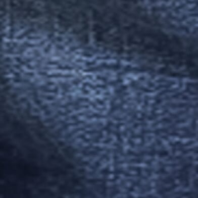 Zion B202