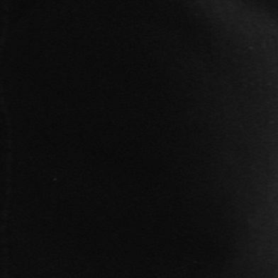 Tan SJ202
