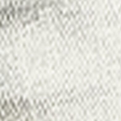 Kaede Stretch Short thumbnail 7