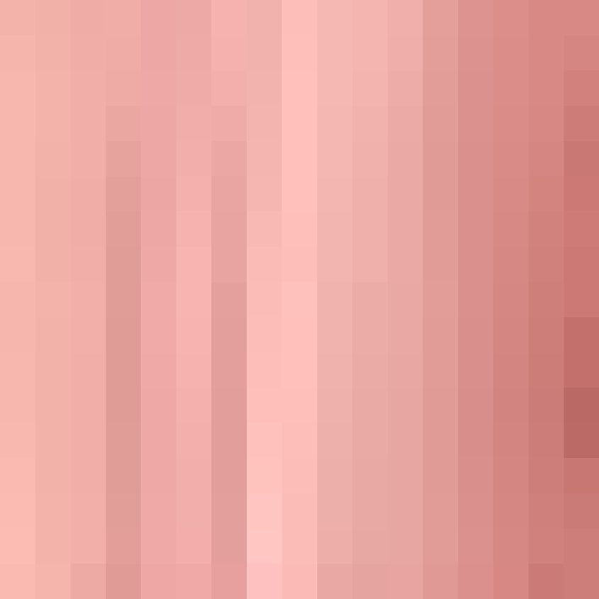 Muted Clay