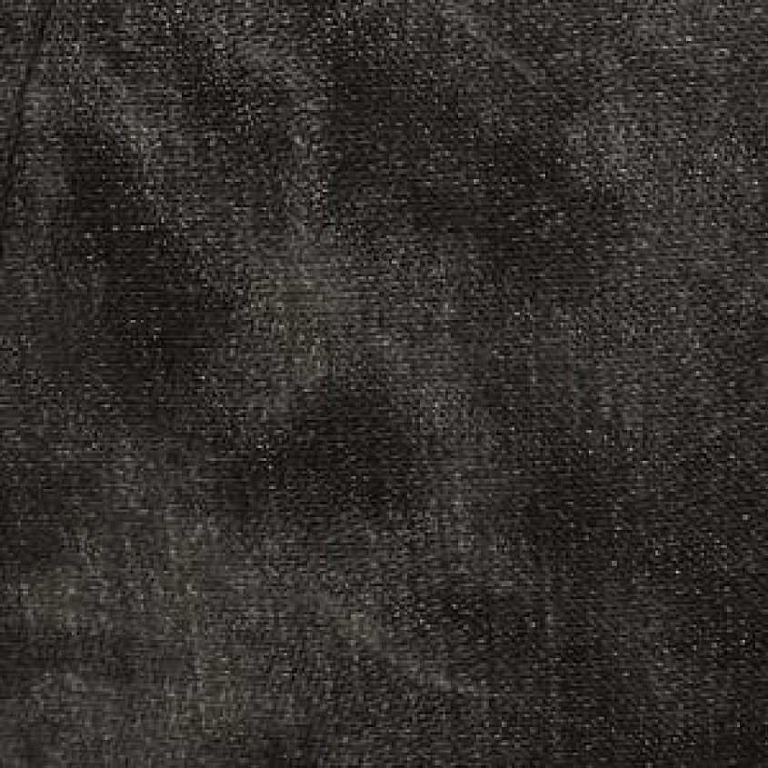 Pirate Black
