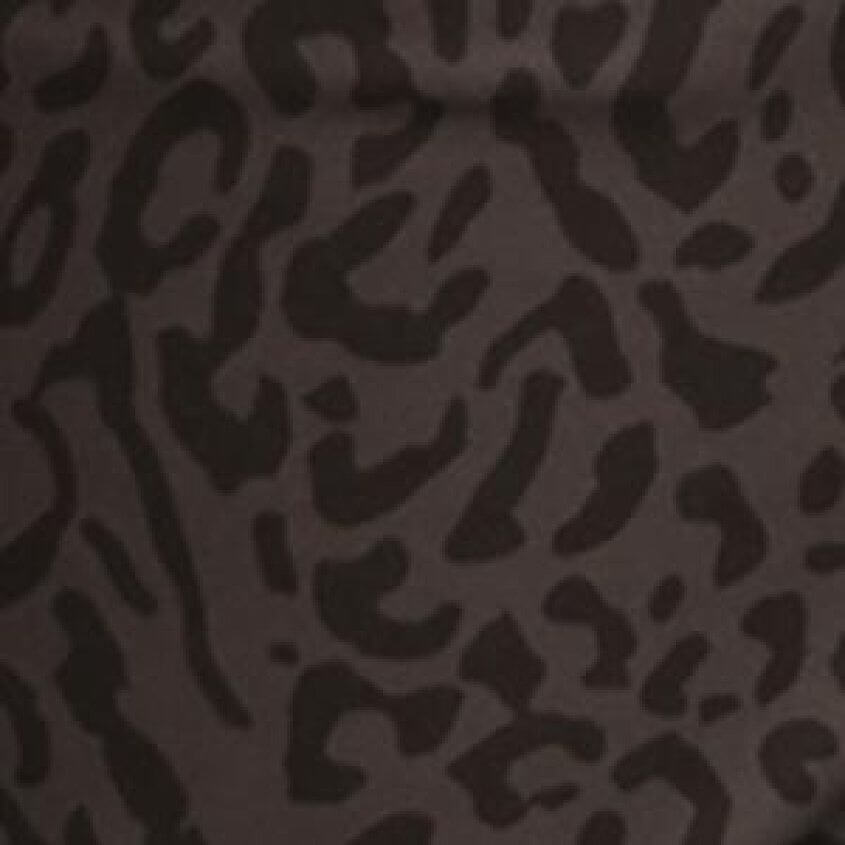 Black Leopard