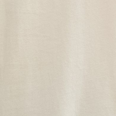 Silver Bleach