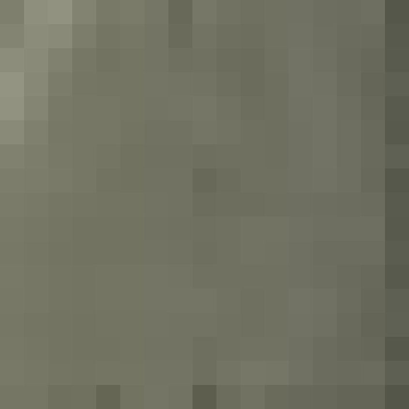 Dusty Olive