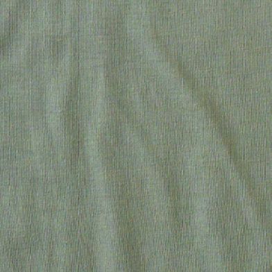 Agave Green