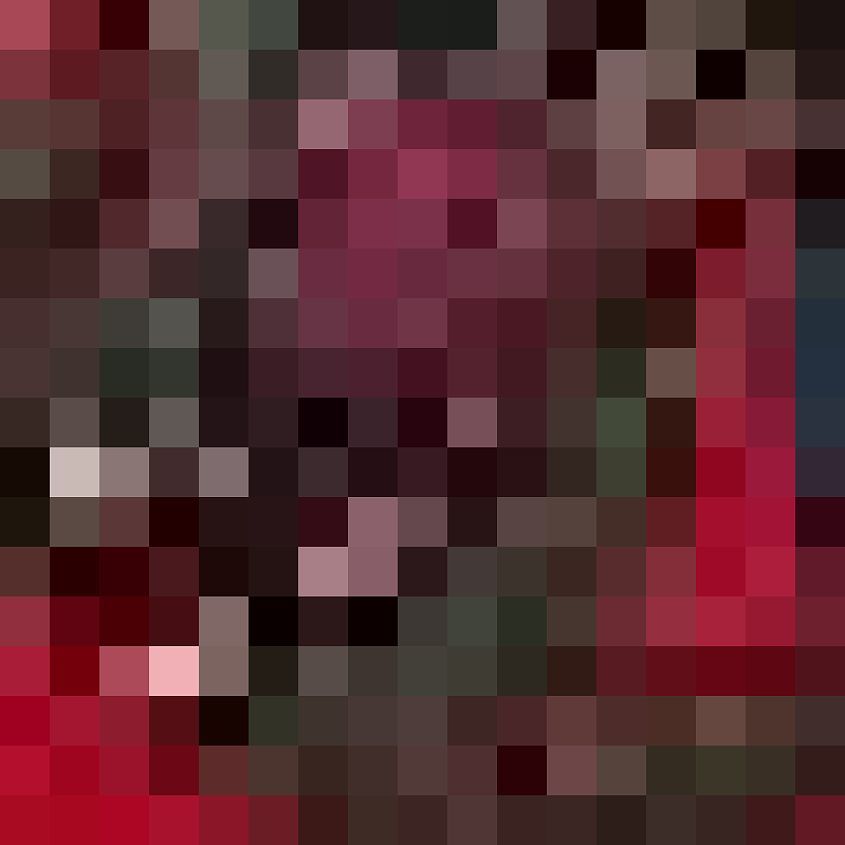Cherry Spirit Desert