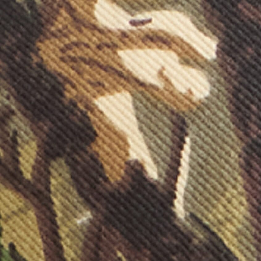 Camo