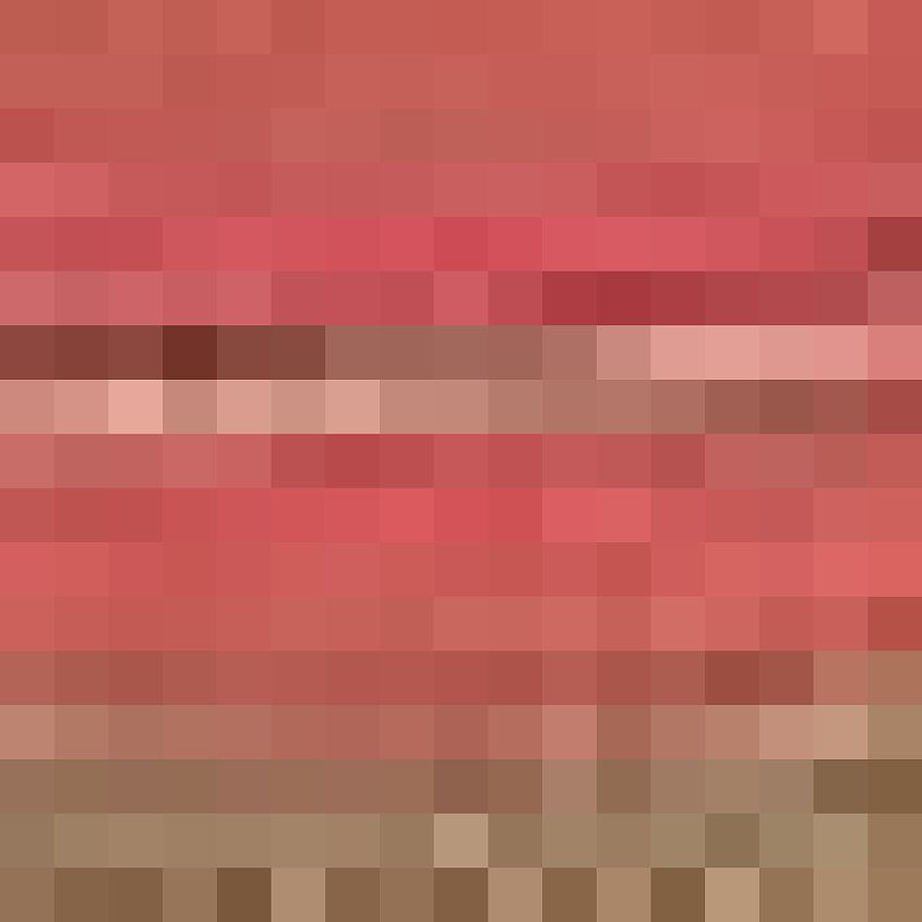 Coral