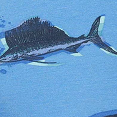 Fish On Sail