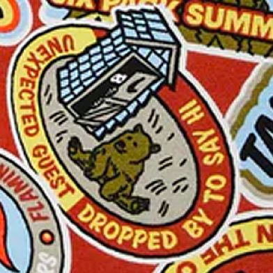 Demerit Badges
