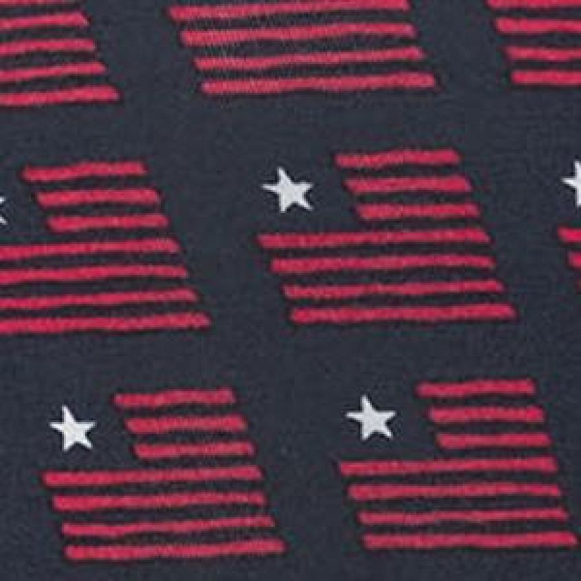 Navy American Spirit