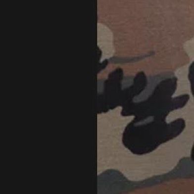 Black Wood Camo