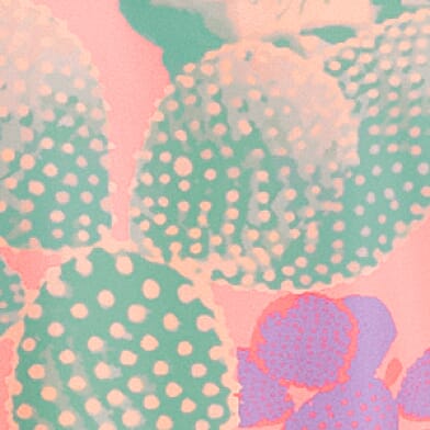 Nopal Cosmico
