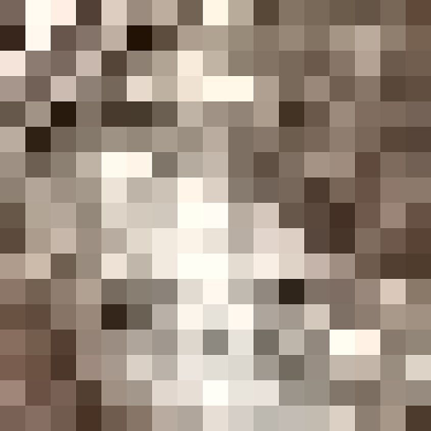 Pewter