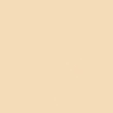 Cream Tan