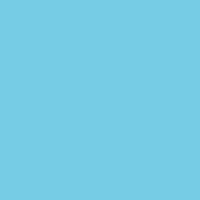 Silver Turquoise
