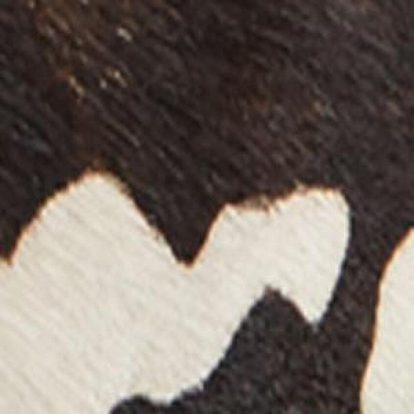 Cow Print