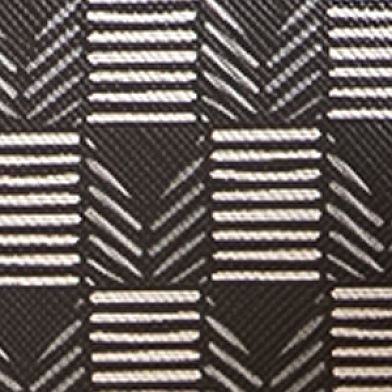Black Logo