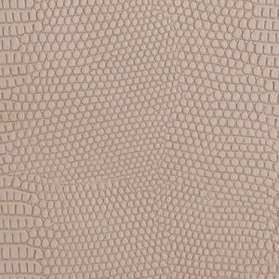 Beige Multi