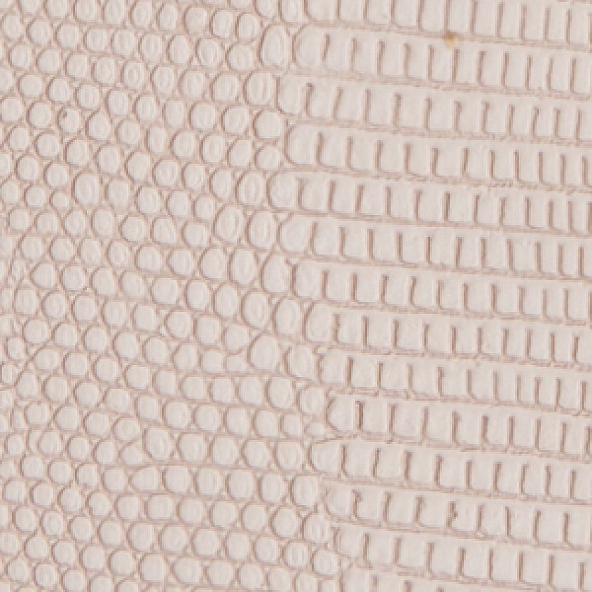 Beige Multi
