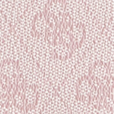Orchid Logo