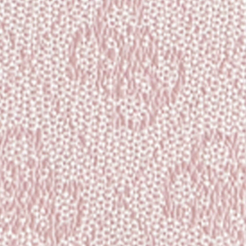 Orchid Logo