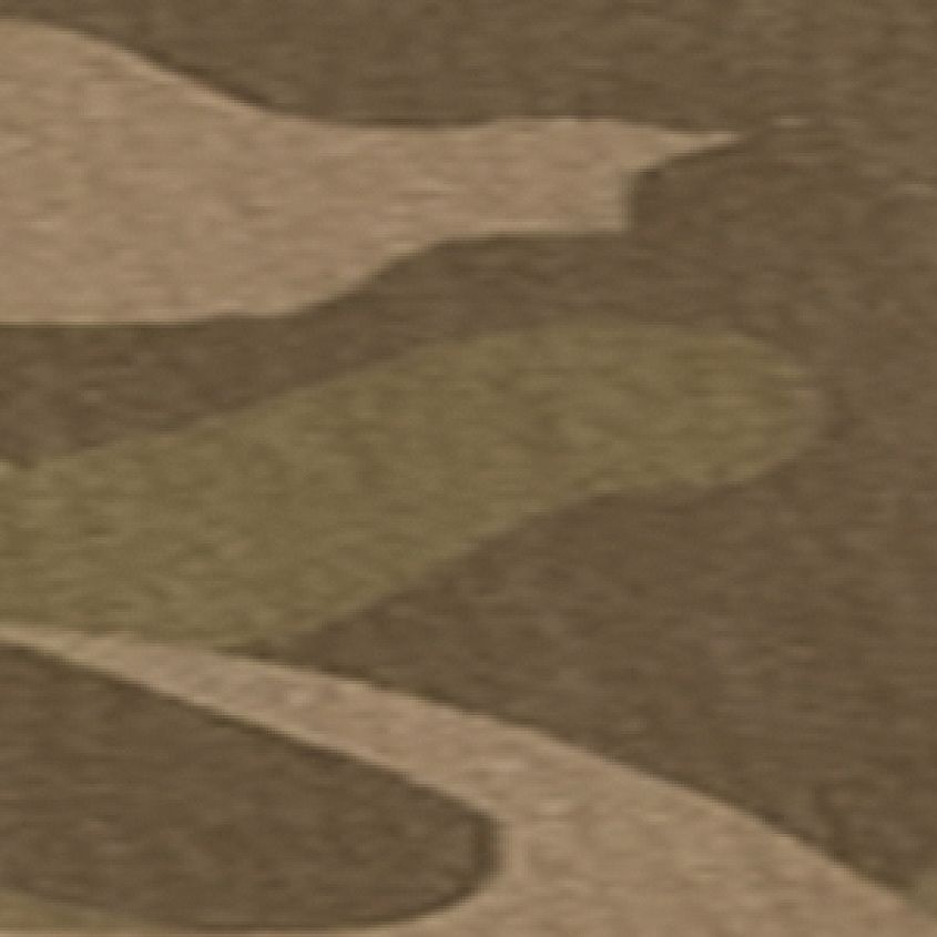 Camo