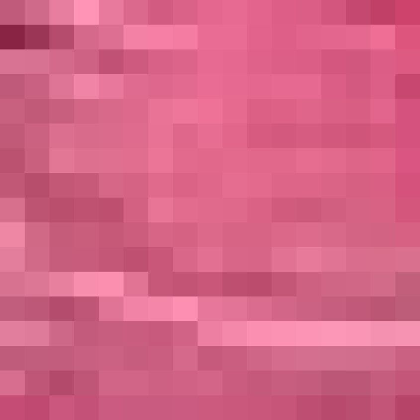Pink Brush Bleach Wash